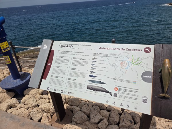Panel informativo sobre avistamiento de cetáceos en Costa Adeje junto al mar y una zona rocosa de la costa.