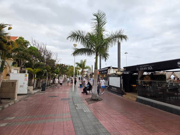 Paseo marítimo de Costa Adeje con palmeras, restaurantes y personas caminando en un día nublado.